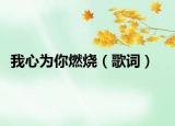 我心為你燃燒（歌詞）