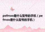 pefmoo是什么型號(hào)的手機(jī)（pefmoo是什么型號(hào)的手機(jī)）