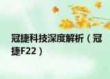 冠捷科技深度解析（冠捷F22）