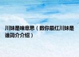 川妹是啥意思（數(shù)你最紅川妹是誰簡(jiǎn)介介紹）