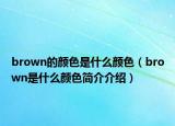 brown的顏色是什么顏色（brown是什么顏色簡介介紹）