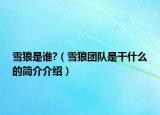 雪狼是誰?（雪狼團(tuán)隊(duì)是干什么的簡介介紹）