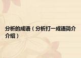 分析的成語（分析打一成語簡介介紹）