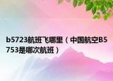 b5723航班飛哪里（中國(guó)航空B5753是哪次航班）