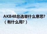 AKB48總選舉什么意思?（有什么用?）