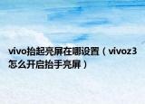 vivo抬起亮屏在哪設(shè)置（vivoz3怎么開啟抬手亮屏）