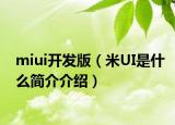 miui開發(fā)版（米UI是什么簡介介紹）