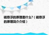 磁懸浮的原理是什么?（磁懸浮的原理簡介介紹）