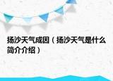 揚(yáng)沙天氣成因（揚(yáng)沙天氣是什么簡介介紹）