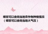 哪里可以查詢當?shù)剞r(nóng)作物種植情況（哪里可以查詢當?shù)卮髿鈮海? /></span></a>
                        <h2><a href=