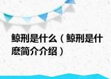 鯨刑是什么（鯨刑是什麼簡介介紹）