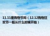 11.11是購物節(jié)嗎（12.12購物狂歡節(jié)一般從什么時候開始）