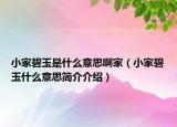 小家碧玉是什么意思啊家（小家碧玉什么意思簡介介紹）