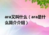 ara又叫什么（ara是什么簡介介紹）