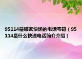 95114是哪家快遞的電話號(hào)碼（95114是什么快遞電話簡(jiǎn)介介紹）