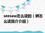 seesaw怎么讀的（蚺怎么讀簡介介紹）