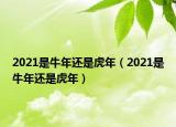 2021是牛年還是虎年（2021是牛年還是虎年）