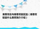 青春常在與青春常駐區(qū)別（青春常駐是什么意思簡介介紹）