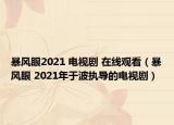 暴風(fēng)眼2021 電視劇 在線觀看（暴風(fēng)眼 2021年于波執(zhí)導(dǎo)的電視?。? /></span></a>
                        <h2><a href=