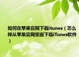 如何在蘋果官網(wǎng)下載itunes（怎么樣從蘋果官網(wǎng)里面下載iTunes軟件）