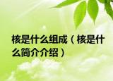 核是什么組成（核是什么簡(jiǎn)介介紹）