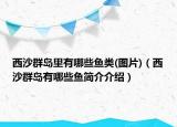 西沙群島里有哪些魚類(圖片)（西沙群島有哪些魚簡(jiǎn)介介紹）