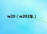 w20（w202車）