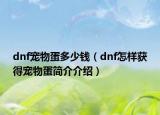 dnf寵物蛋多少錢（dnf怎樣獲得寵物蛋簡介介紹）