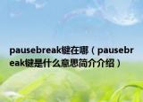 pausebreak鍵在哪（pausebreak鍵是什么意思簡介介紹）