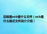 后綴是exb是什么文件（exb是什么格式文件簡介介紹）