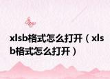 xlsb格式怎么打開（xlsb格式怎么打開）