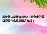 融資敞口是什么意思?（融資中的敞口費(fèi)是什么意思簡(jiǎn)介介紹）