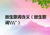 放生歌詞含義（放生歌詞\