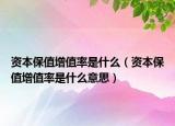 資本保值增值率是什么（資本保值增值率是什么意思）