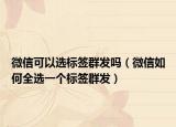 微信可以選標(biāo)簽群發(fā)嗎（微信如何全選一個(gè)標(biāo)簽群發(fā)）