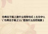 倉鷹擊于殿上是什么特殊句式（古文中\(zhòng)