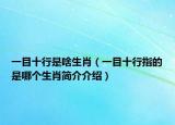 一目十行是啥生肖（一目十行指的是哪個(gè)生肖簡(jiǎn)介介紹）