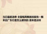 當日最新消息 全國每兩顆荔枝就有一顆來自廣東它是怎么做到的 原來是這樣
