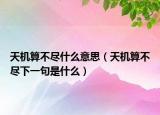 天機(jī)算不盡什么意思（天機(jī)算不盡下一句是什么）