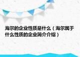 海爾的企業(yè)性質(zhì)是什么（海爾屬于什么性質(zhì)的企業(yè)簡(jiǎn)介介紹）