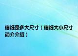 信紙是多大尺寸（信紙大小尺寸簡介介紹）