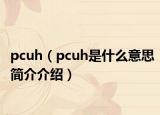 pcuh（pcuh是什么意思簡介介紹）