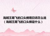海賊王路飛的口頭禪用日語怎么說（海賊王路飛的口頭禪是什么）