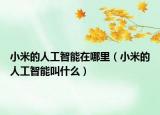 小米的人工智能在哪里（小米的人工智能叫什么）