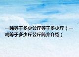 一噸等于多少公斤等于多少斤（一噸等于多少斤公斤簡介介紹）