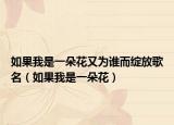 如果我是一朵花又為誰而綻放歌名（如果我是一朵花）