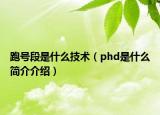 跑號段是什么技術(shù)（phd是什么簡介介紹）