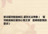 歌詞愛到極度瘋狂,愛到無(wú)法想象（‘愛到極度瘋狂愛到心情乏潰’是哪首歌里的歌詞）