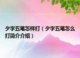 夕字五筆怎樣打（夕字五筆怎么打簡(jiǎn)介介紹）