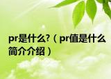 pr是什么?（pr值是什么簡(jiǎn)介介紹）